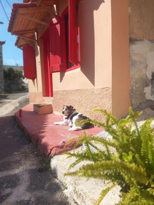 فيلا Semeli'S House Longá المظهر الخارجي الصورة